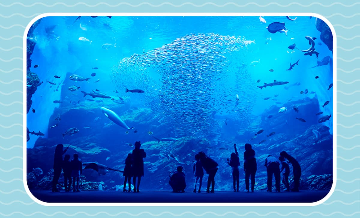 大型水族館“生命閃耀的大海”