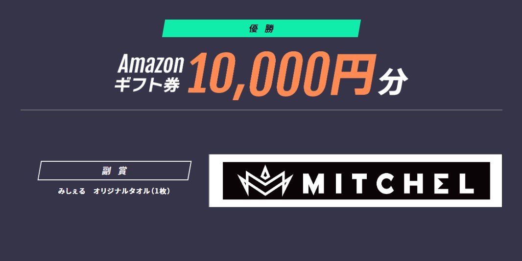 亞馬遜禮券 10,000 日元，米切爾原創毛巾