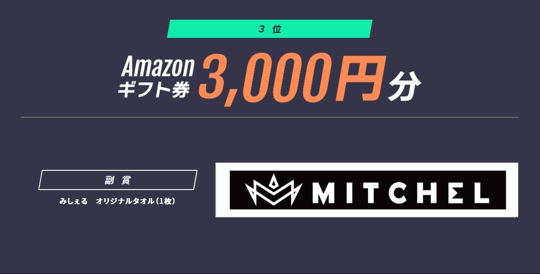 亞馬遜禮券 3,000 日元，米切爾原創毛巾