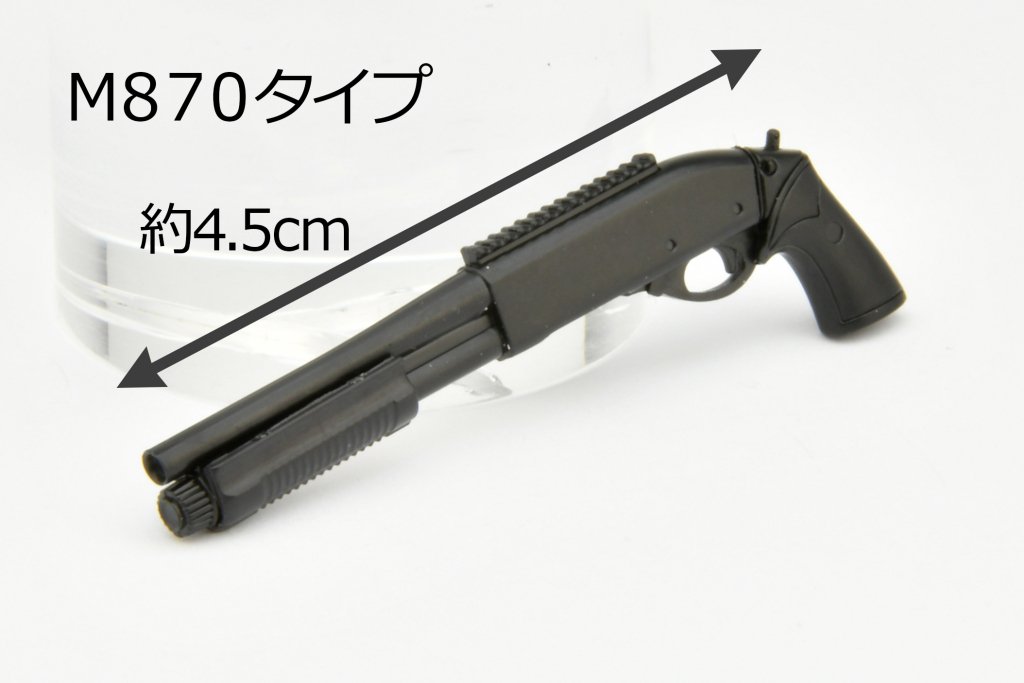 M870タイプ ジルモデル